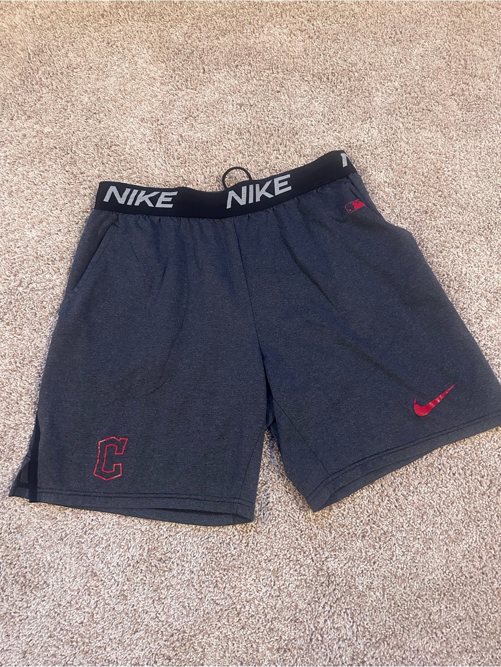 Nike Cleveland Guardians MLB Authentic Collection Performance Shorts Mens Size L